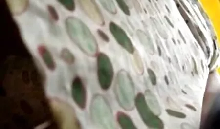 میا ایوانز ضربه سخت قبل از خامه همه لینک کانال فیلم سوپر داخلی