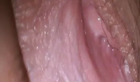 مجموعه ای ادرس لینک کانال سکسی از کلاسیک