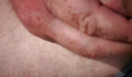 مرطوب گربه بازی دانلود استیکر های سکسی تلگرام